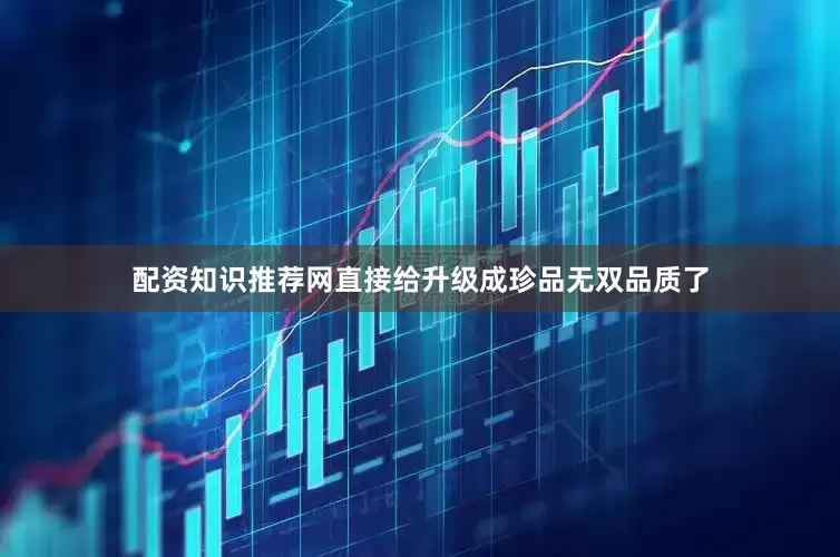 配资知识推荐网直接给升级成珍品无双品质了